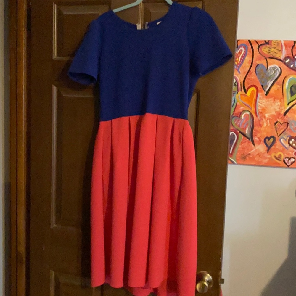 2 size L lularoe dresses. So cute, stretchy, zipper back with pockets